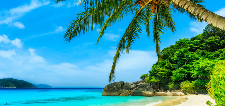 Caribbean Cruises